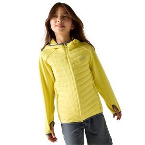 Regatta Childrens/Kids Andreson Hybrid Padded Jacket / Canary Yellow